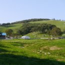 솔미목장 이미지