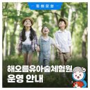 해오름 유아숲체험원 이미지