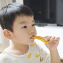 11번가 신선밥상 산지직송 온라인 장보기 서비스