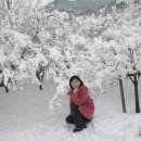 월광공원 이미지