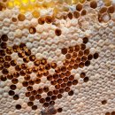 민속의집 이미지