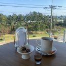 터미널6길 | 동해 삼화사 가을 템플스테이 휴식형 후기 (2) 베틀바위 단풍 별보기 동해종합터미널 근처 카페 추천