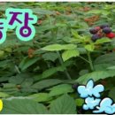 센터모바일 이미지