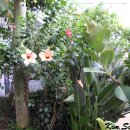 사슴방목장 이미지