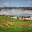 태안목장 이미지