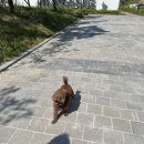 디그루밍 이미지