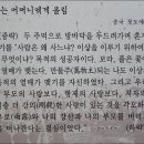 양재시민의 숲~ 윤봉길 의사 기념관 이미지