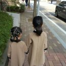 위드제이(WITH J) 이미지