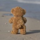 태안슈퍼 이미지