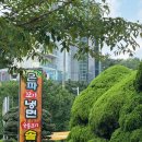 은파꼬기냉면 앞 | [군산] 나운동 현지인들이 줄 서서 먹는 냉면 맛집 은파꼬기냉면