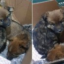 코인스테이지 코인노래연습장 이미지