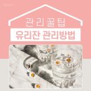 유리빙