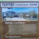 안덕면 화순리 1293-8 안덕초등학교 정문 앞 횡단보도 | 제주답사 일번지3-7 국립제주박물관(上)