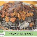 왕포면옥 | [대전 만년동 돼지갈비 맛집] 6명이서 16인분 먹은 돼지갈비 맛집 후기 — 왕포면옥 솔직 후기