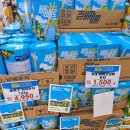 남해벚꽃길지나서 이미지