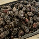 대심농장 이미지