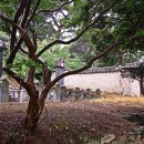 매계조위신도비 이미지