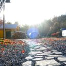 새막골 캠프 이미지