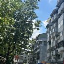 1020 쇼핑몰 옆 이미지