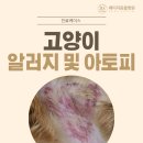 심바동물병원 이미지