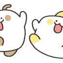 키즈캐슬 이미지