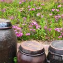 뒤웅박고을 이미지