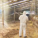 성률농장 이미지