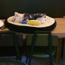 별난아재맥주 이미지