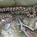 성심메디칼 이미지