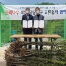 강촌1리 이미지