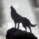 사랑누리화장실 이미지