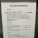 도우펜션 이미지