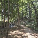 논고개로 334번길 이미지