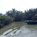 코코넛19 이미지