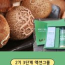 버섯마을 이미지