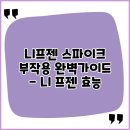 니프젠 스파이크 부작용 완벽가이드 - 니 프젠 효능, 니 프젠 가격, 니 프젠 후기