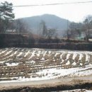 용인최고공인중개사사무소 Daum카페