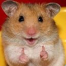 복담은 찌개 이미지