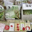 온양한올중학교 이미지