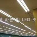 그린조명마트