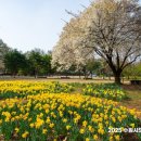 경기도 수원시 권선구 탑동로 11 (탑동) | [수원] 탑동시민농장 나들이 - 가을억새 및 피크닉추천 (주차위치 안내)