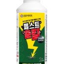 1번가 스타일