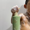 돌돌워시 | 자극없는 아기 탑투토 워시 | 밀리맘 비건 새싹 바디워시&샴푸 사용후기
