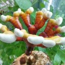 현숙농장 이미지