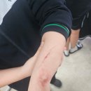 대전봉우중학교 | 대전 직업체험 특수분장 수업 후기 | 봉우중학교 외부강의 다녀왔어요