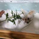 프라임 동물병원 앞 이미지