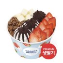 월드세탁소 | [경기/수원시 팔달구 신풍동 카페] 요거트월드 행리단길점 / 가격 / 대표 메뉴 / 칼로리 / 후기
