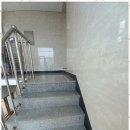 둥지(네스트) 이미지