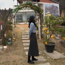 강동천호복싱다이어트 | 강동 천호 다이어트 복부 아랫배 지방추출주사 두달차 후기 장점/단점