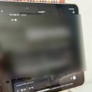 신안운수 | 목포 오시온투어를 하다.